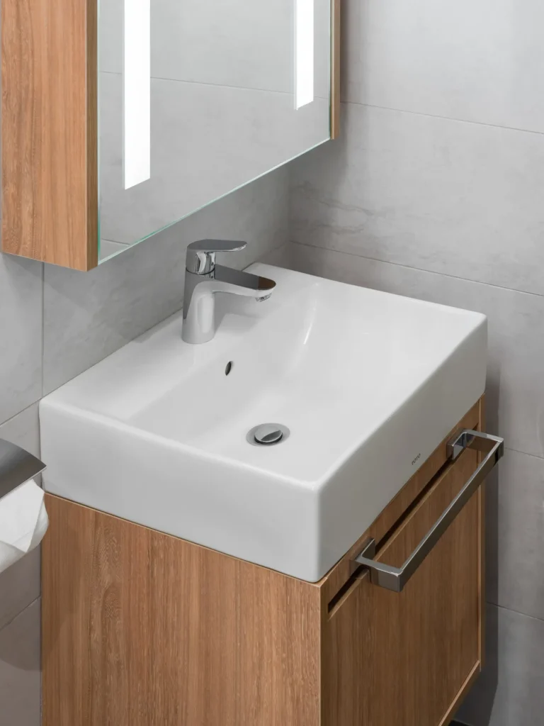 The Conlay_TOTO Basin_TOTO Faucet