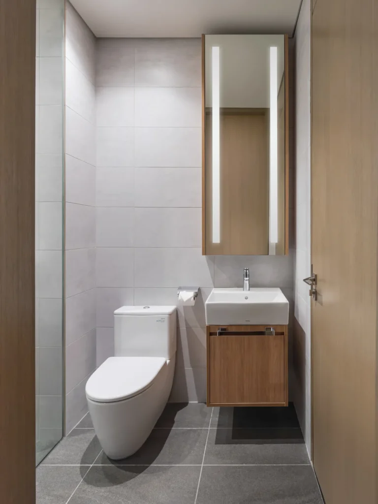 The Conlay_TOTO Toilet