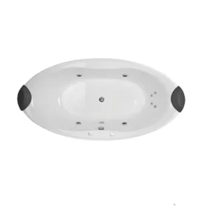 Read SPAOPAL1700